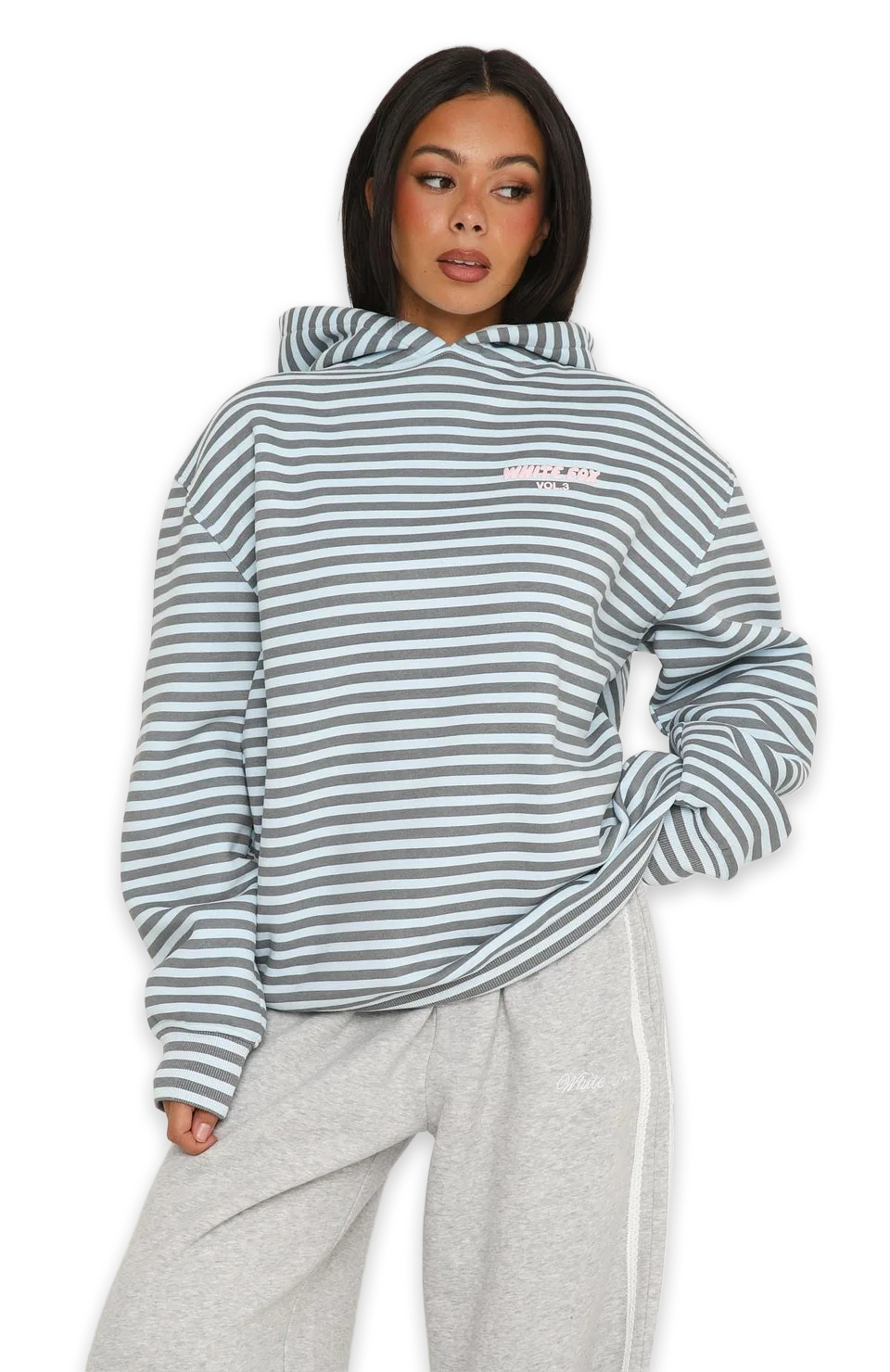 White Fox Offstage Striped Oversized Hoodie Blue/Charcoal Stripe, photo 3