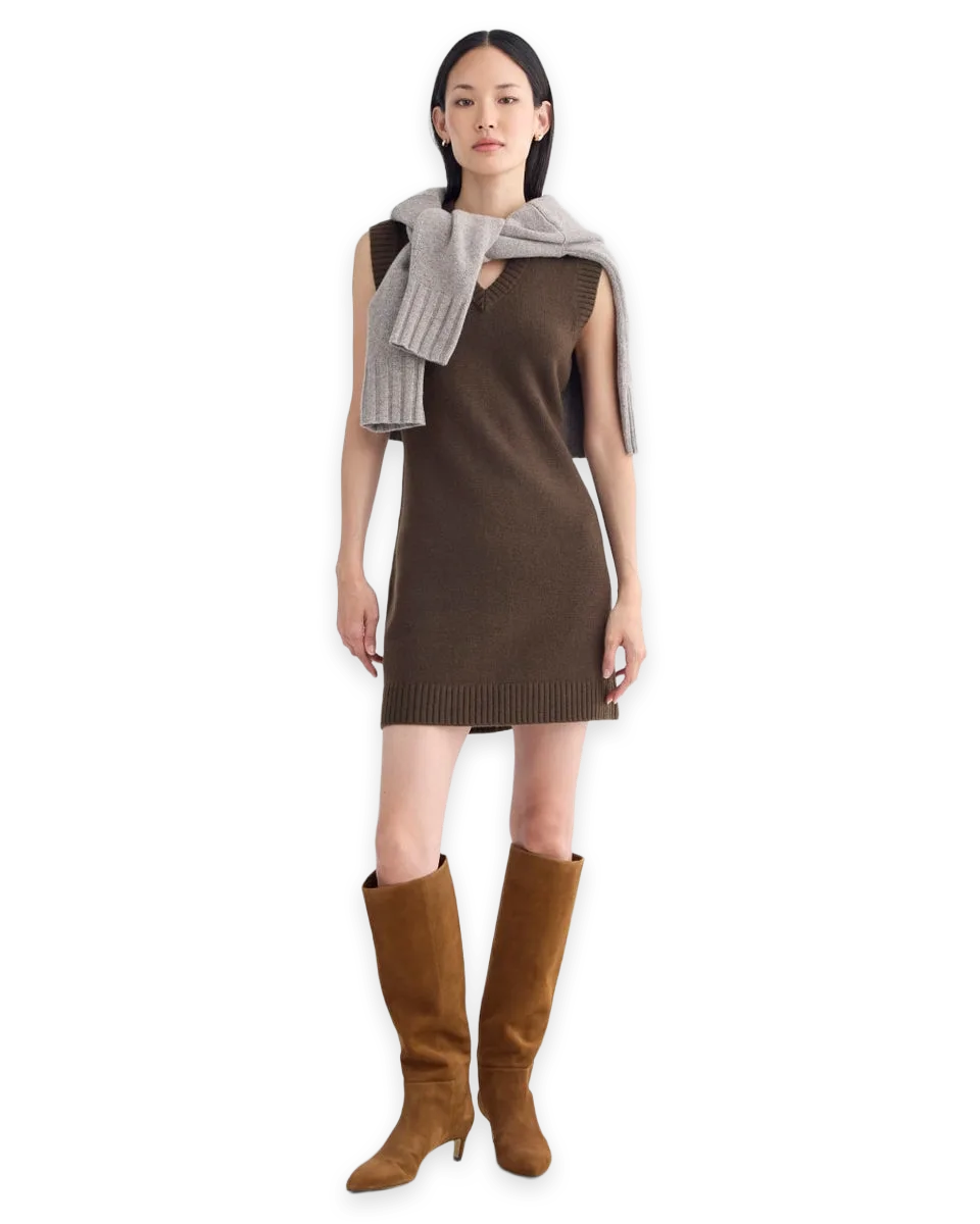 Everlane Sweater Mini Dress in Luxe Merino