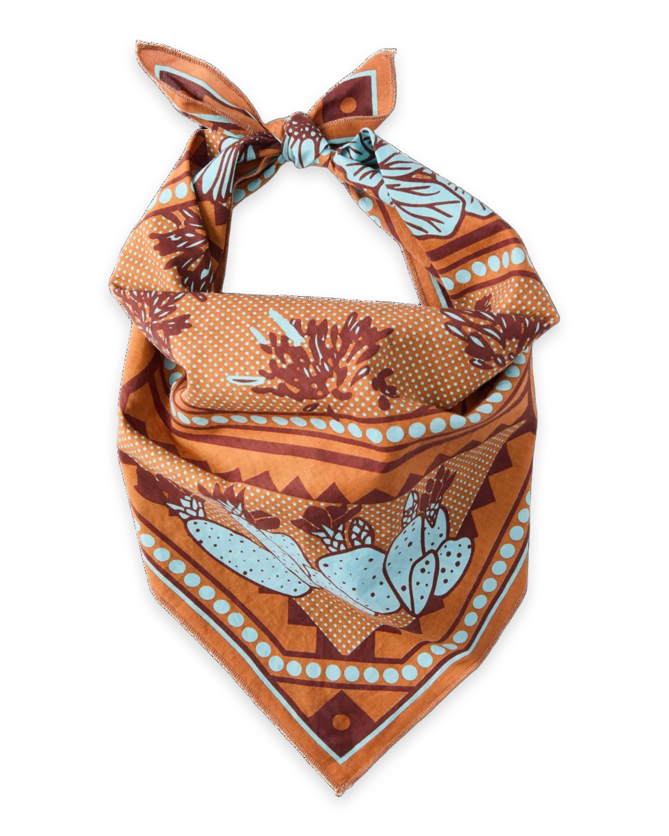 Cotopaxi Organic Cotton Bandana
