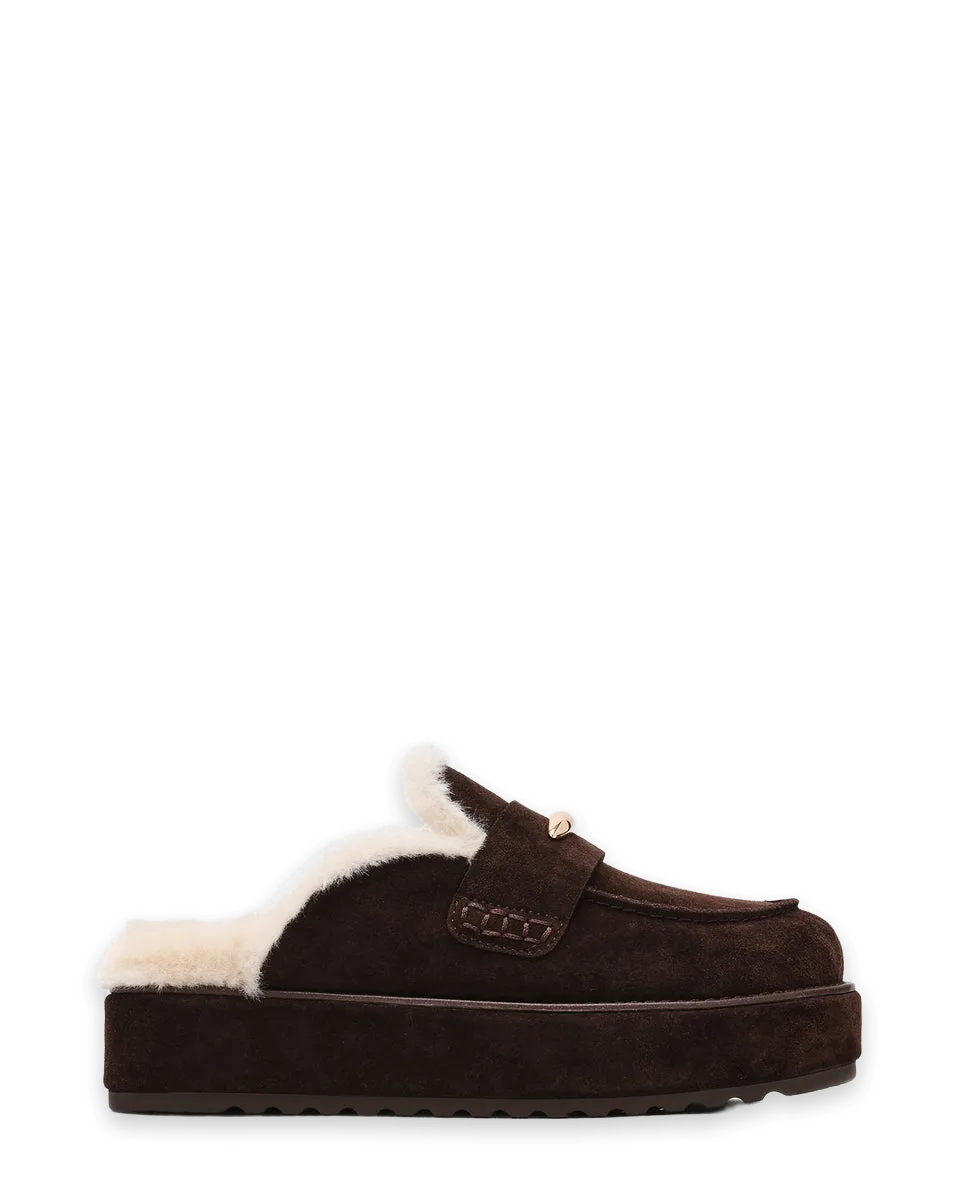 Steve Madden MOBIN BROWN SUEDE