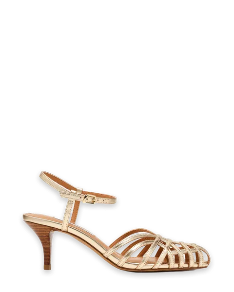 Steve Madden EDIN CHAMPAGNE
