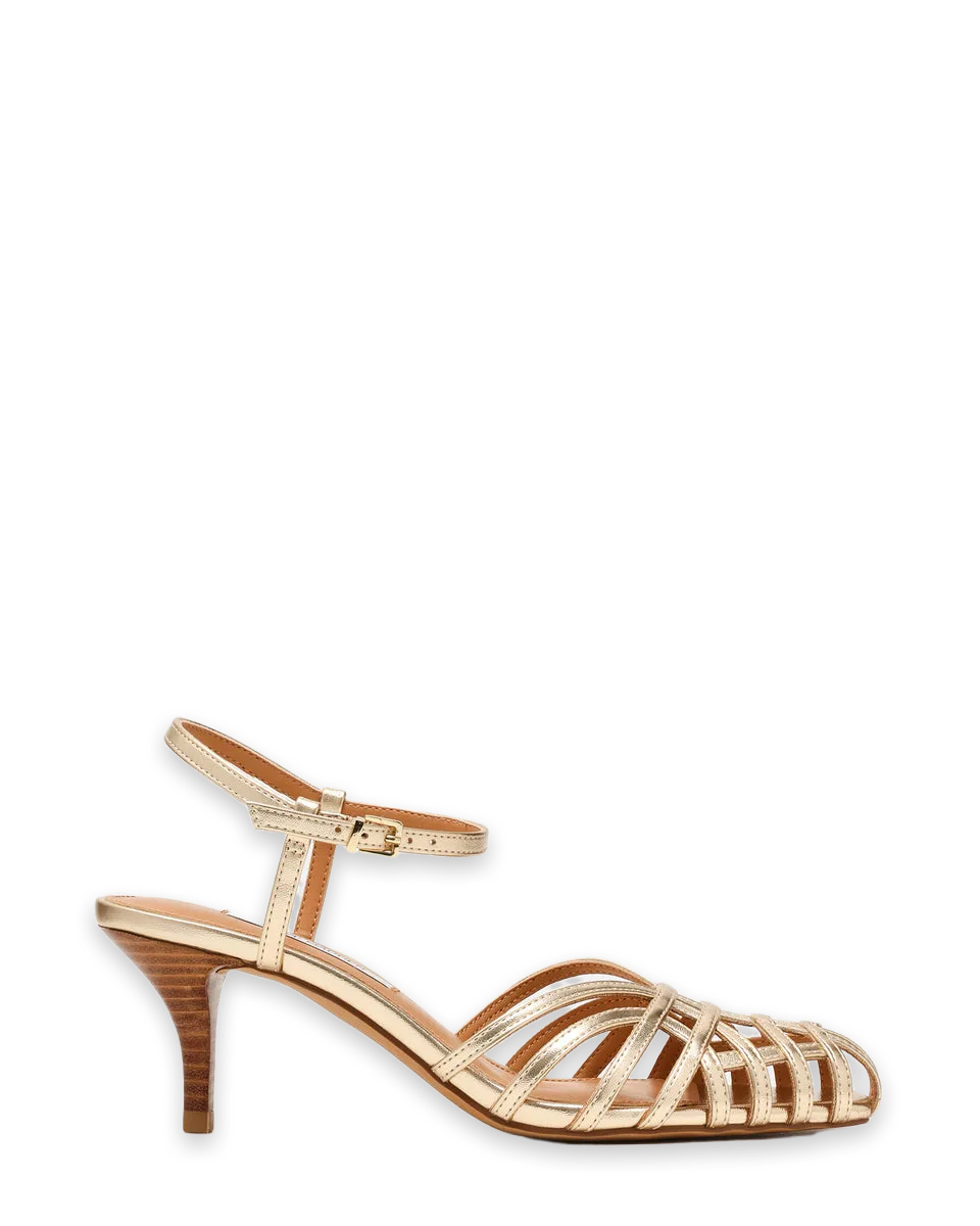 Steve Madden EDIN CHAMPAGNE