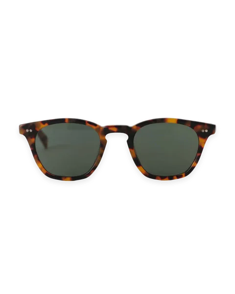 Taylor Stitch The Legend in Tokyo Tortoise