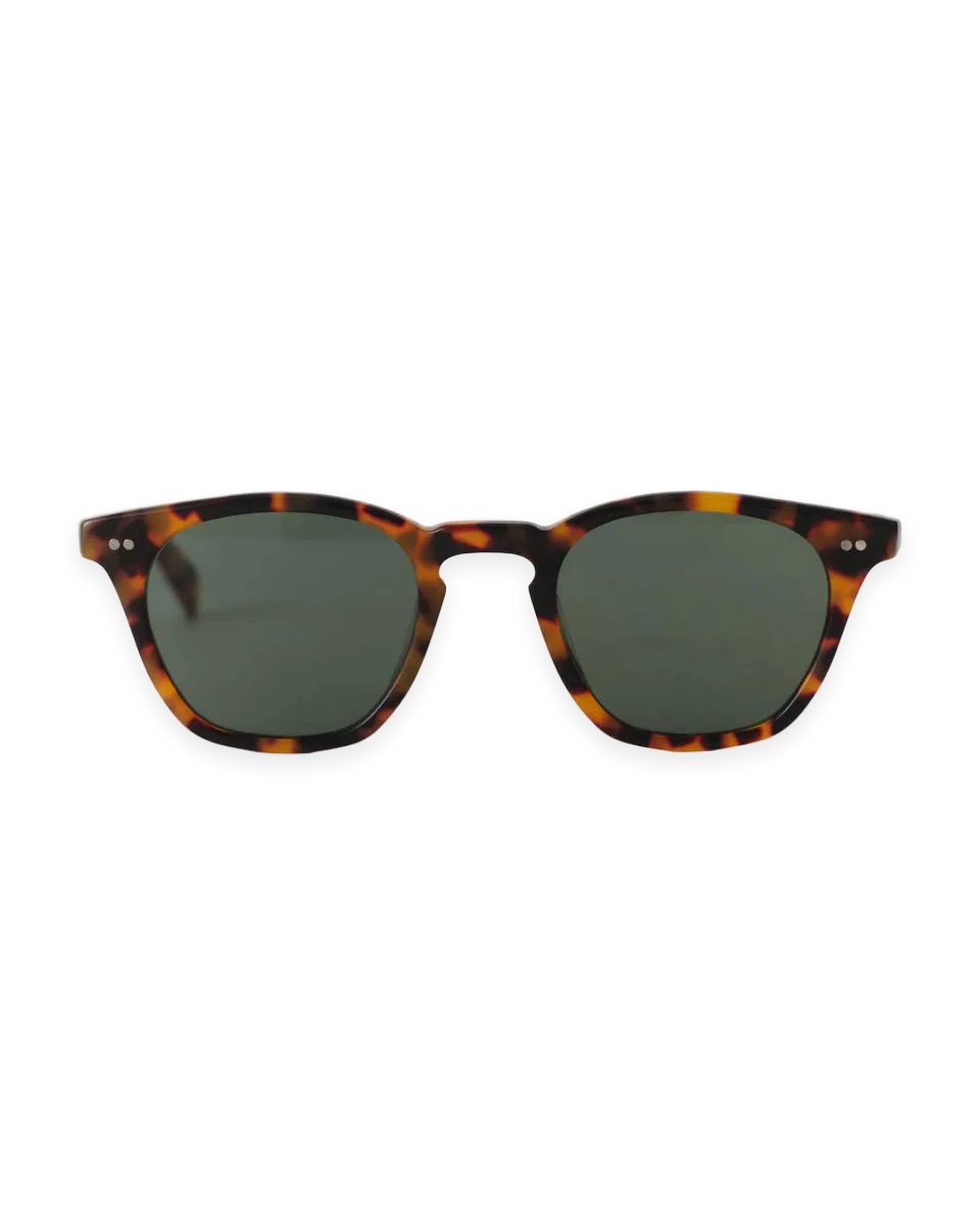 Taylor Stitch The Legend in Tokyo Tortoise