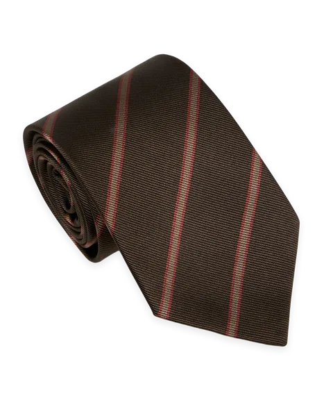 Todd Snyder The David Tie