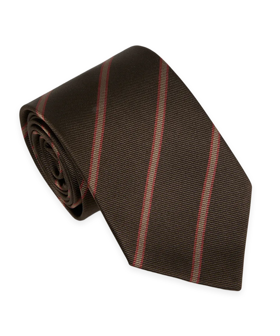 Todd Snyder The David Tie