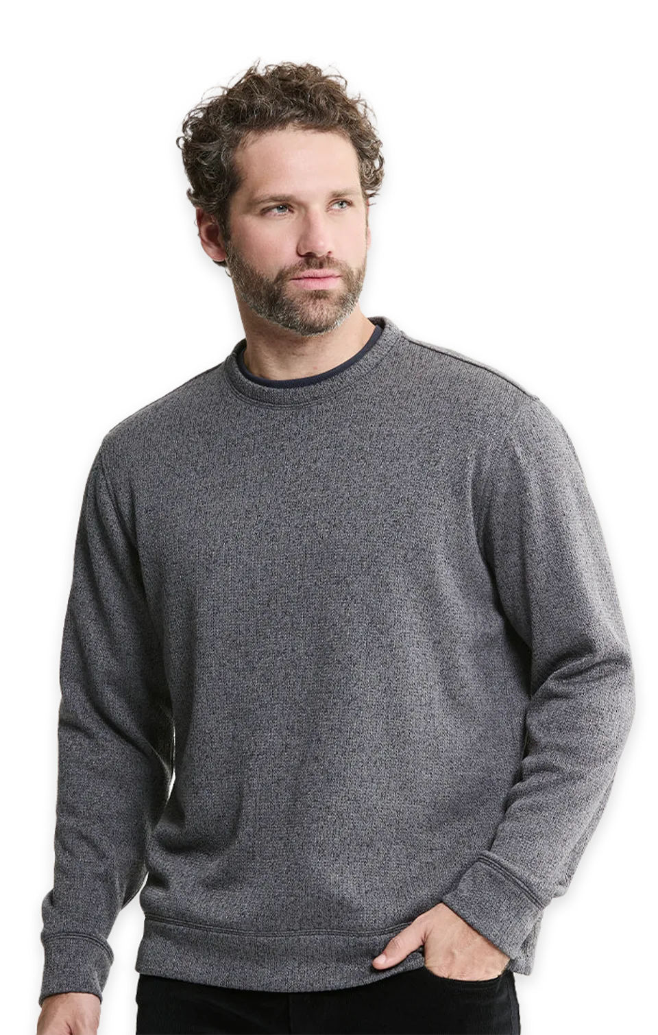 Jachs NY Stretch Sweater Fleece Crewneck