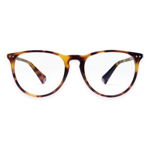 MVMT Ingram Everscroll Glasses Brown