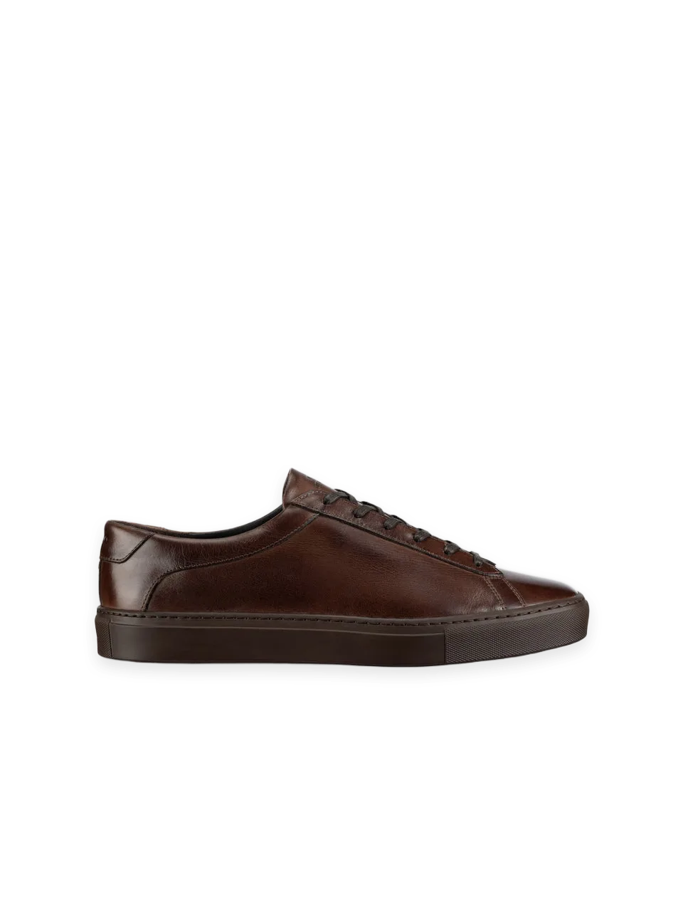 Koio Capri Leather Sneaker in Antica Caffe