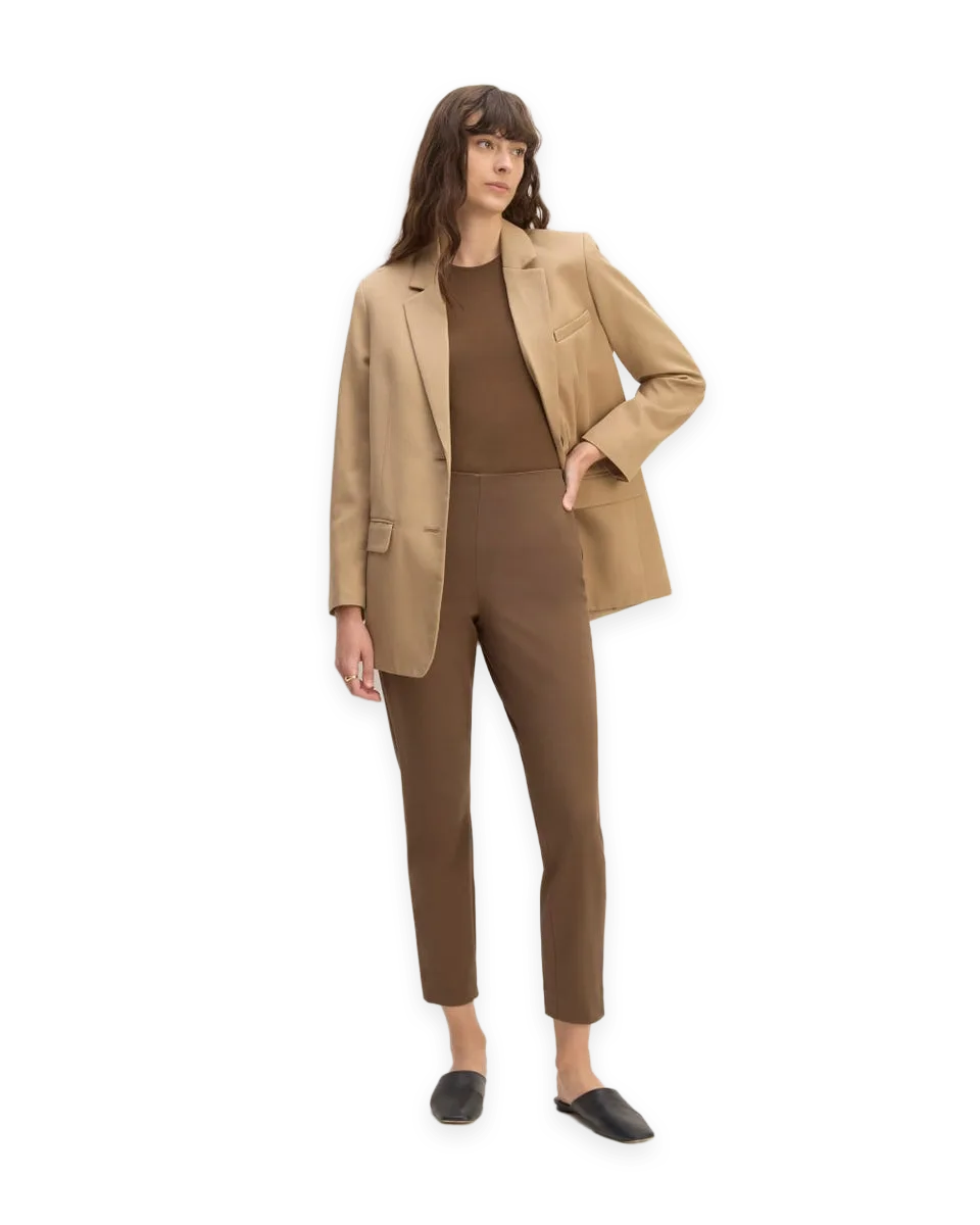 Everlane The Bi-Stretch Work Pant