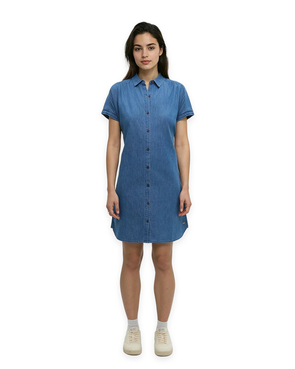tentree Denim Tern Dress