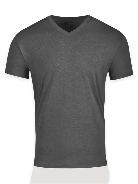 Fresh Clean Threads Carbon Grey V-Neck