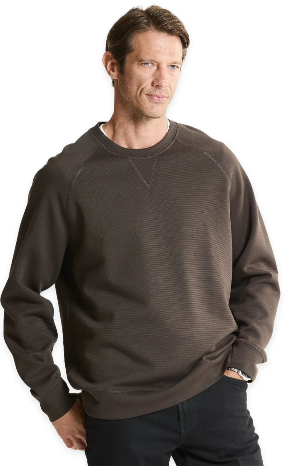 Jachs NY Performance Micro Stripe Knit Raglan Crewneck