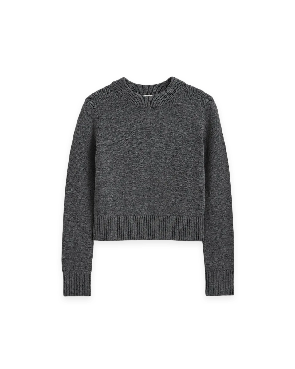 Everlane Shrunken Crew Sweater in Everyday Cotton
