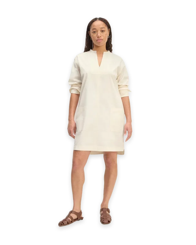 Everlane The Long-Sleeve Utility Mini Dress