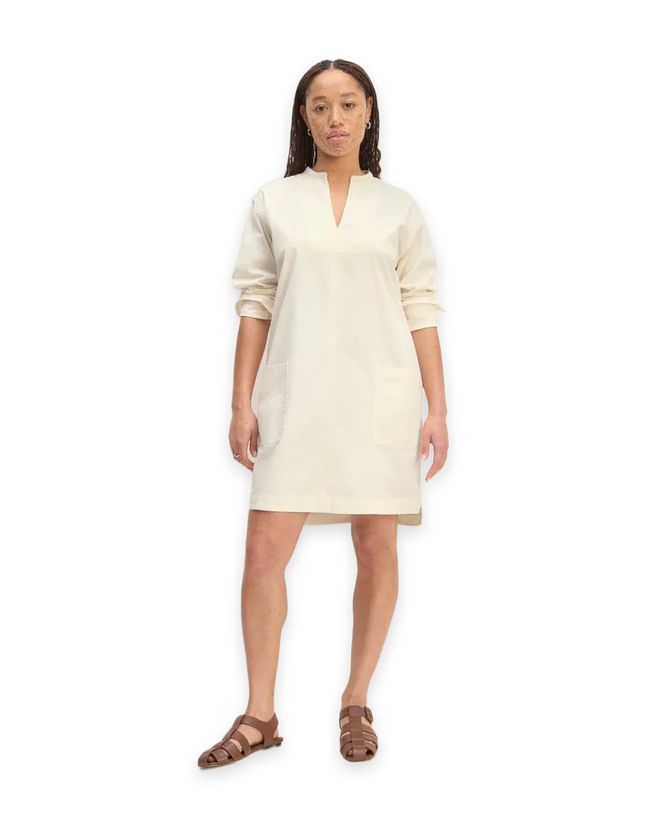 Everlane The Long-Sleeve Utility Mini Dress