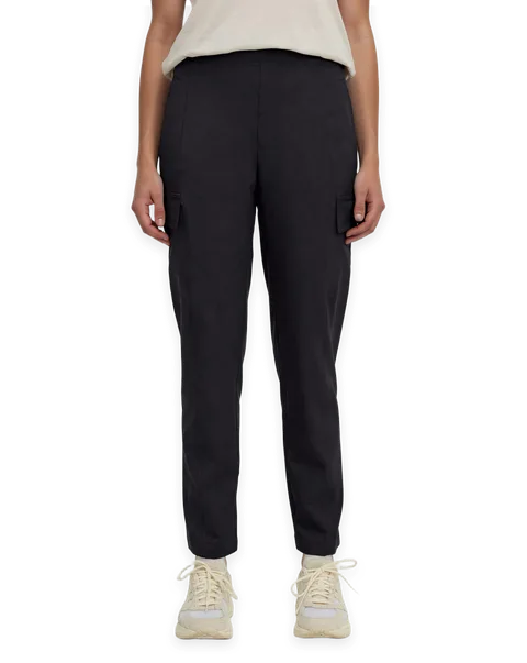 tentree Cowen Pant