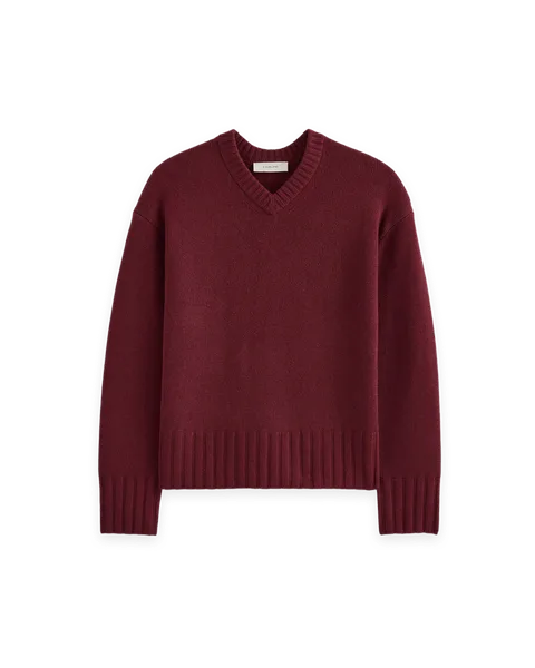 Everlane V-Neck Sweater in Extrafine Luxe Merino