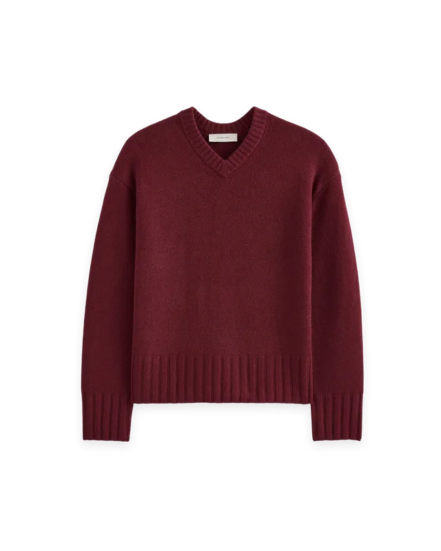 Everlane V-Neck Sweater in Extrafine Luxe Merino