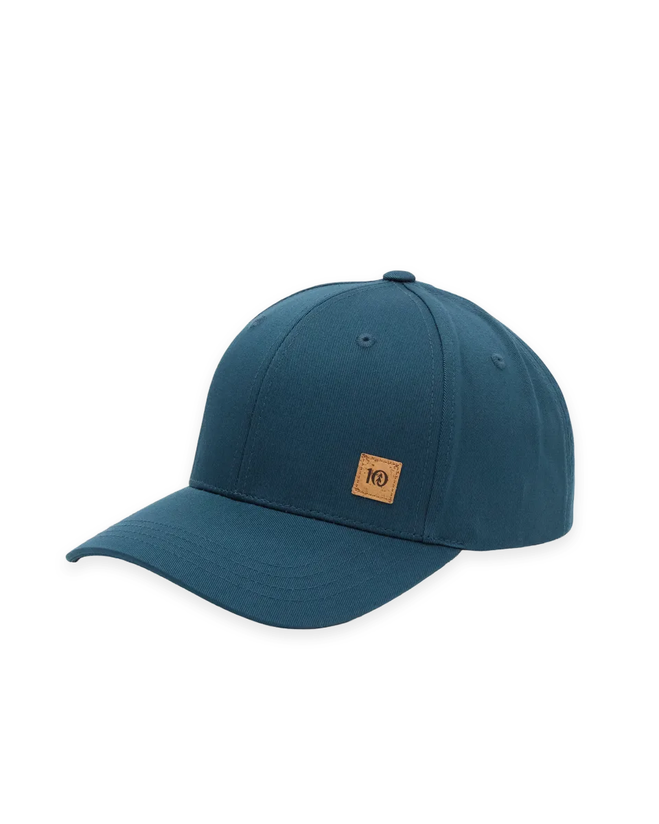 tentree Cork Icon Elevation Hat