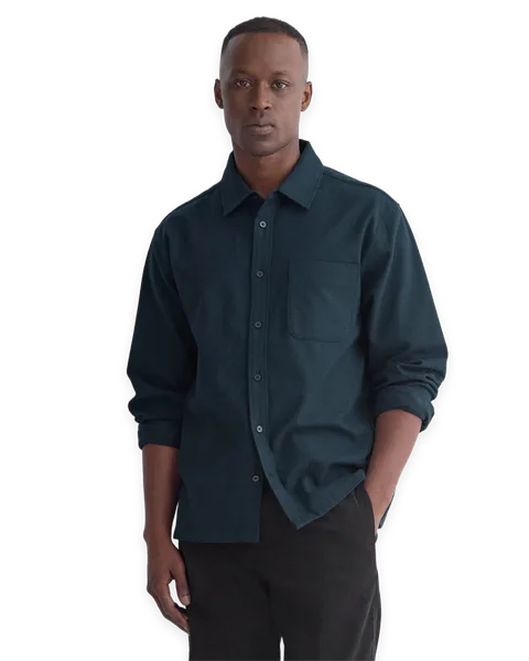 Everlane Brushed Flannel Shirt