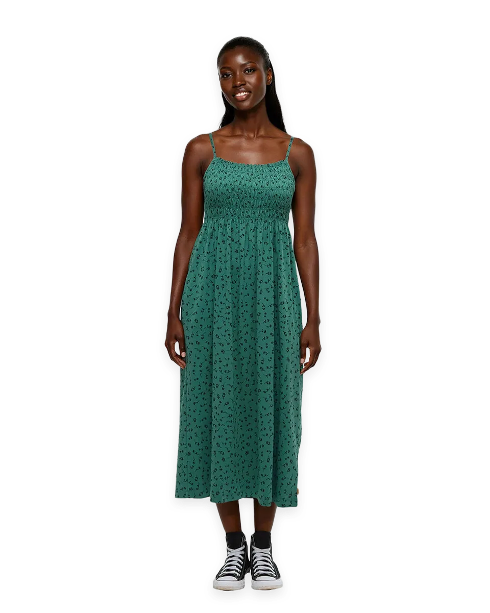 tentree Driftwood Dress
