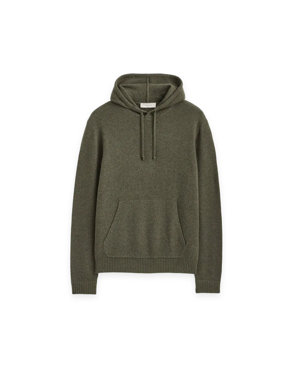 Everlane The Felted Merino Hoodie