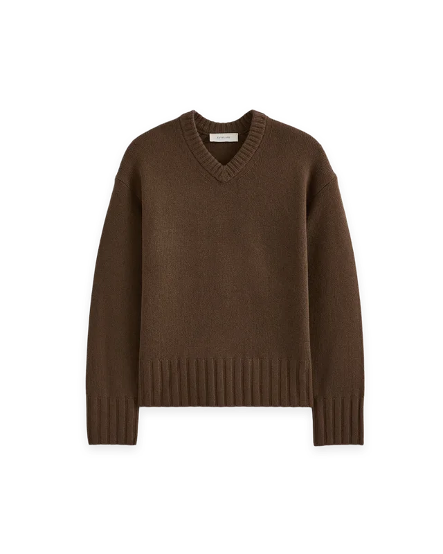 Everlane V-Neck Sweater in Extrafine Luxe Merino