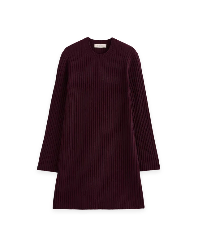 Everlane Cashmere Long-Sleeve Mini Dress
