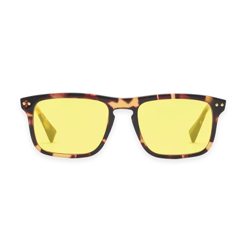 MVMT Reveler Gold Shield Tortoise