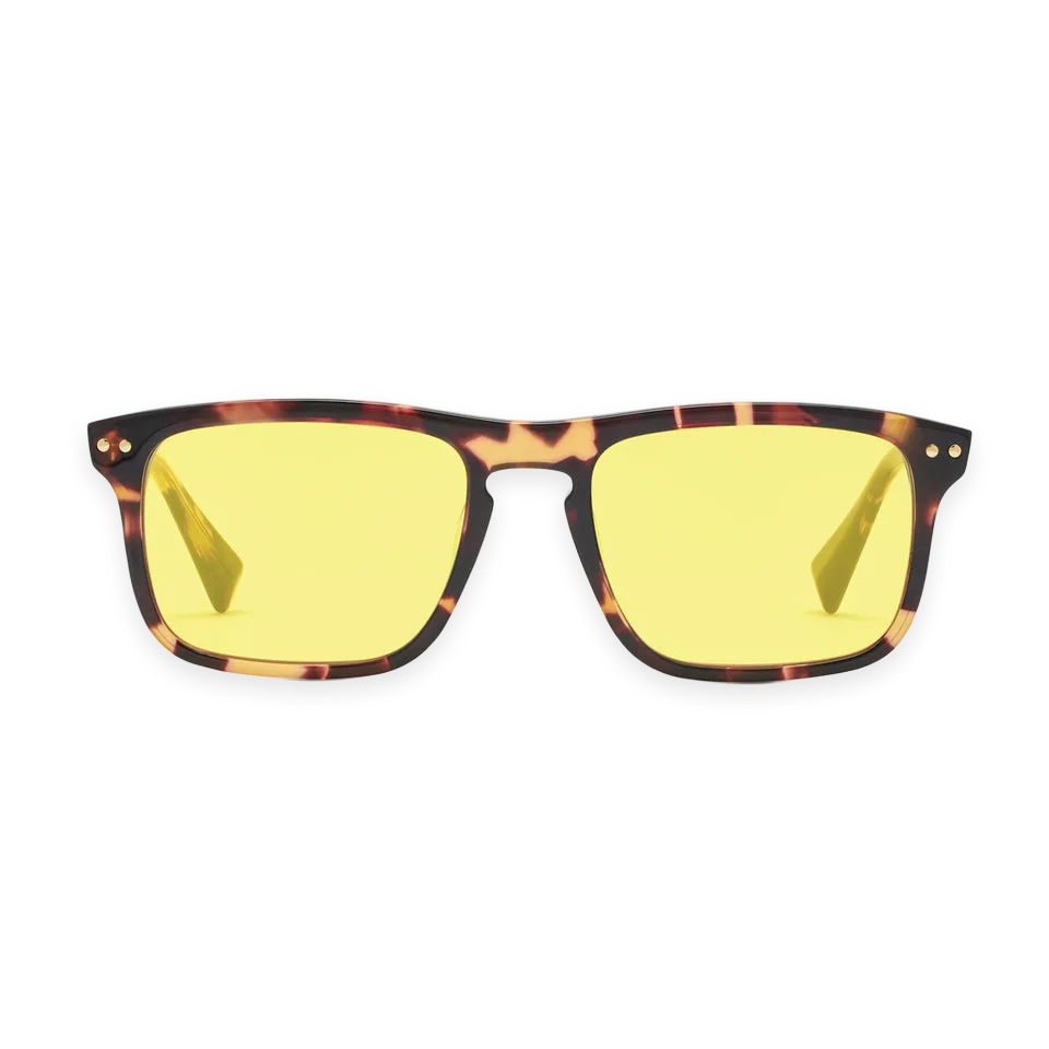 MVMT Reveler Gold Shield Tortoise