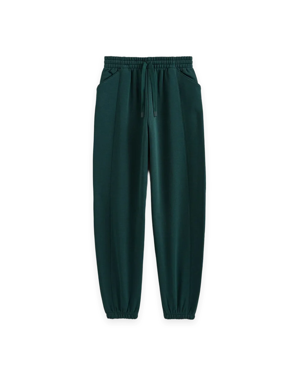 Everlane Luxe Fleece Baggy Jogger