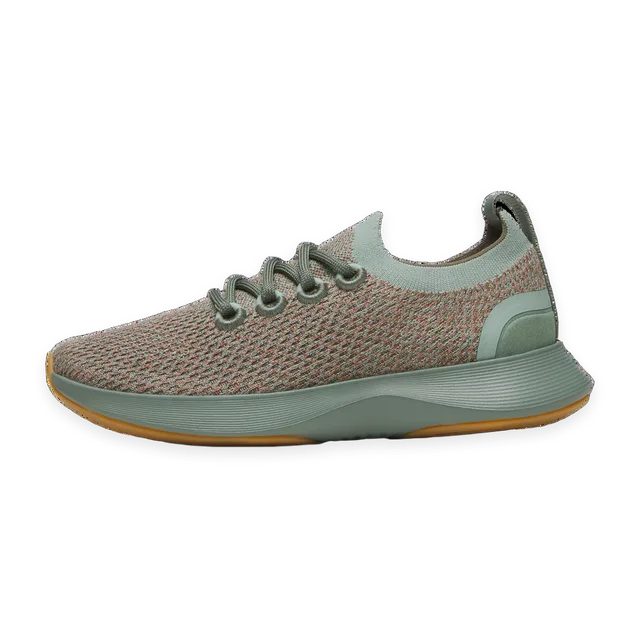 Allbirds Men's Dasher NZ