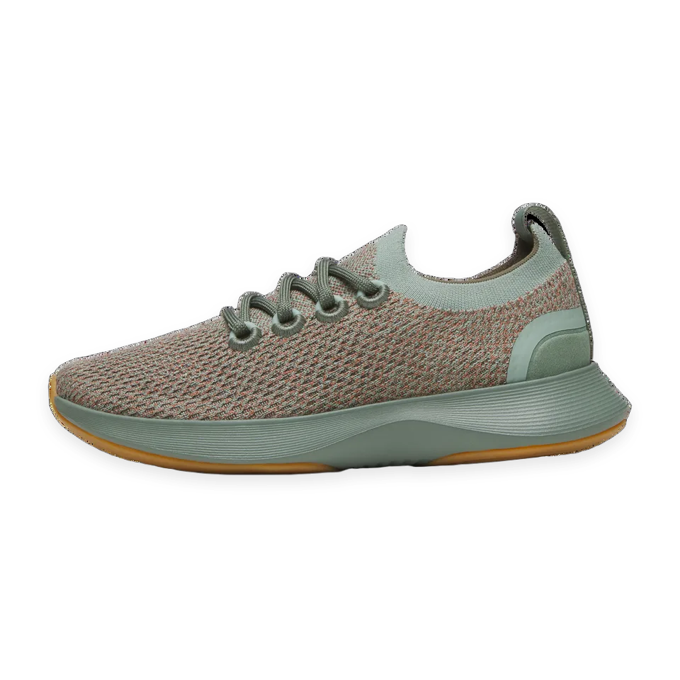 Allbirds Men's Dasher NZ