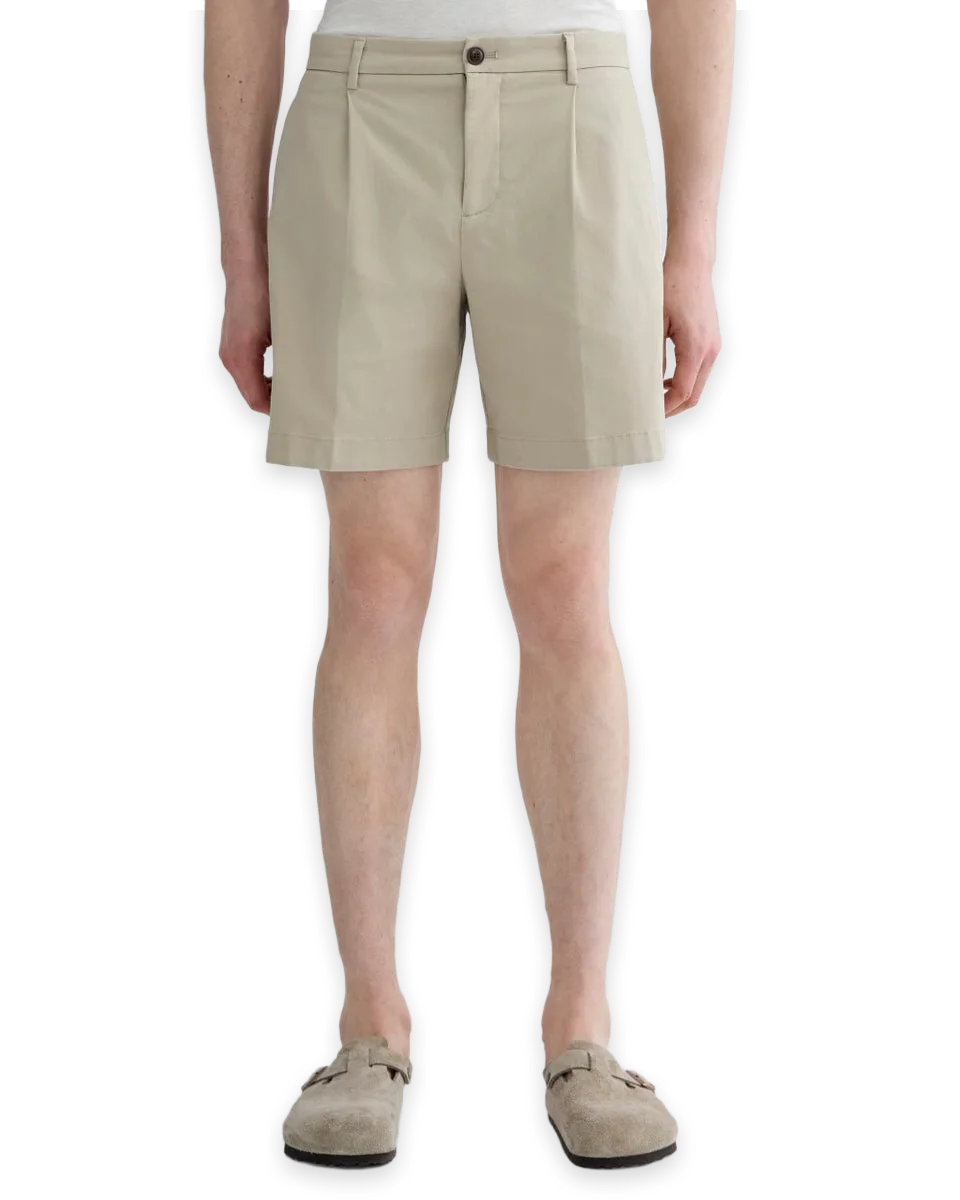 Everlane The Transit Chino Short