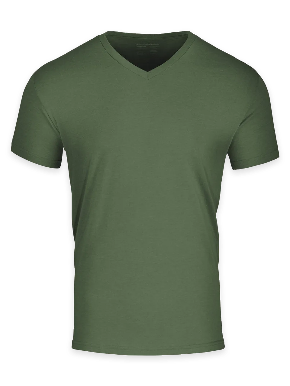 Fresh Clean Threads Sage V-Neck